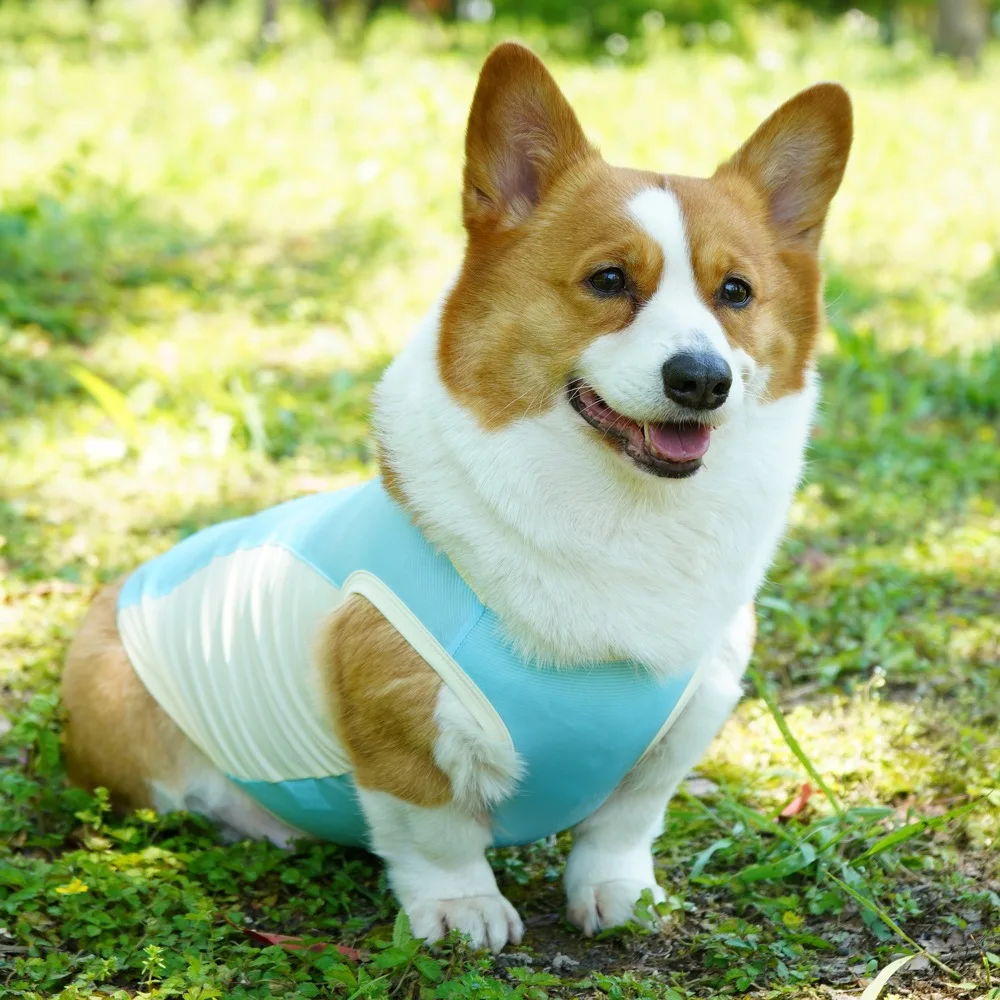 Dog Summer Cooling Vest Sun Protection Ice Silk Pet Clothes Breathable Quick Dry Puppy Cat Clothes For Small Medium Large Dogs