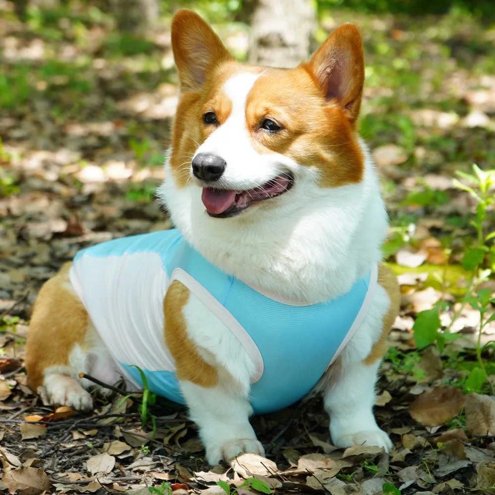 Dog Summer Cooling Vest Sun Protection Ice Silk Pet Clothes Breathable Quick Dry Puppy Cat Clothes For Small Medium Large Dogs