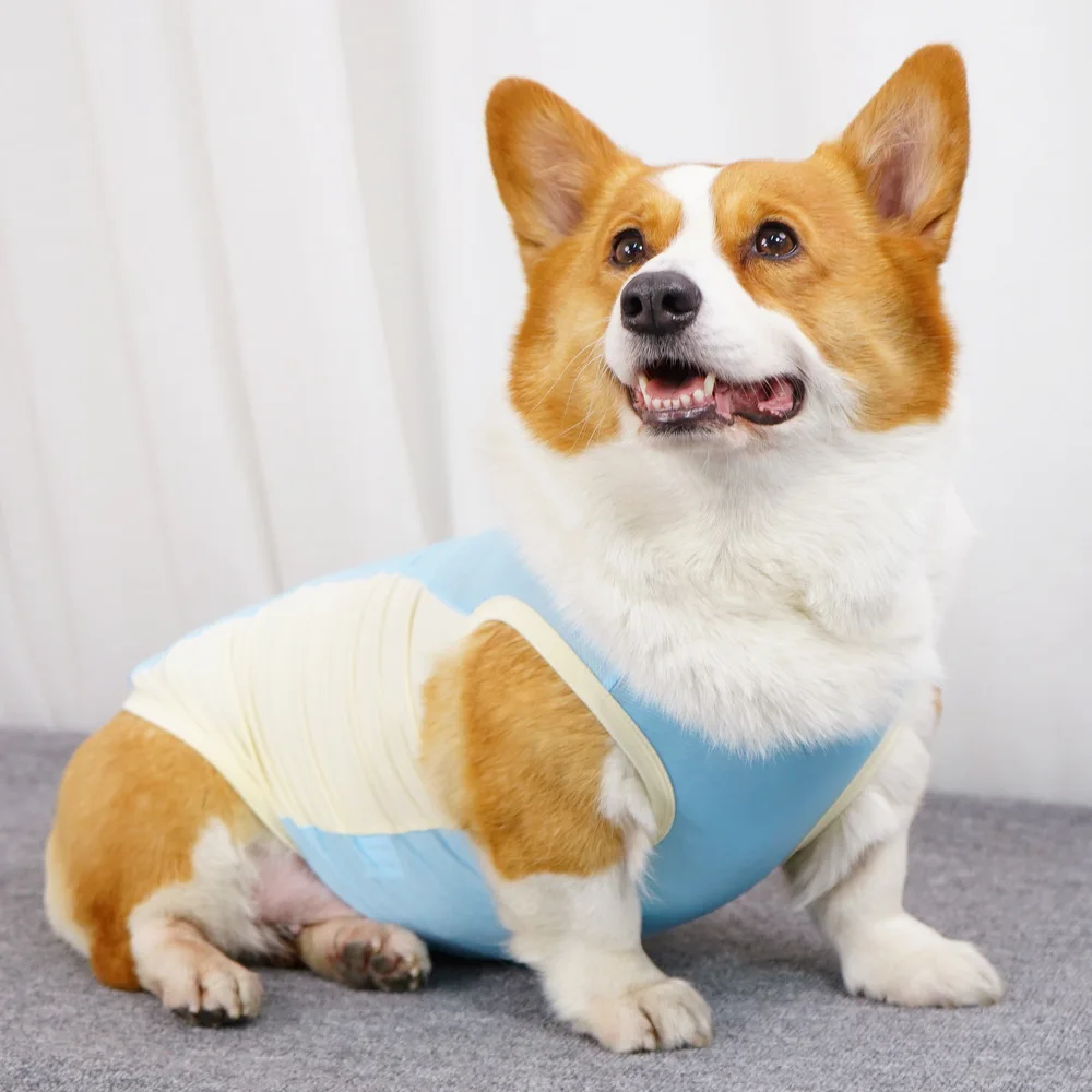 Dog Summer Cooling Vest Sun Protection Ice Silk Pet Clothes Breathable Quick Dry Puppy Cat Clothes For Small Medium Large Dogs