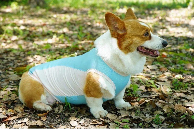 Dog Summer Cooling Vest Sun Protection Ice Silk Pet Clothes Breathable Quick Dry Puppy Cat Clothes For Small Medium Large Dogs