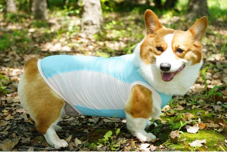 Dog Summer Cooling Vest Sun Protection Ice Silk Pet Clothes Breathable Quick Dry Puppy Cat Clothes For Small Medium Large Dogs