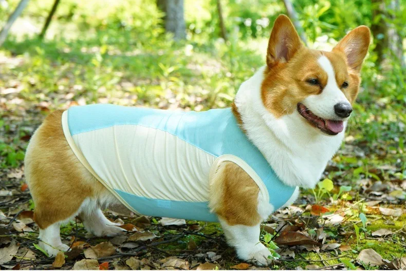 Dog Summer Cooling Vest Sun Protection Ice Silk Pet Clothes Breathable Quick Dry Puppy Cat Clothes For Small Medium Large Dogs