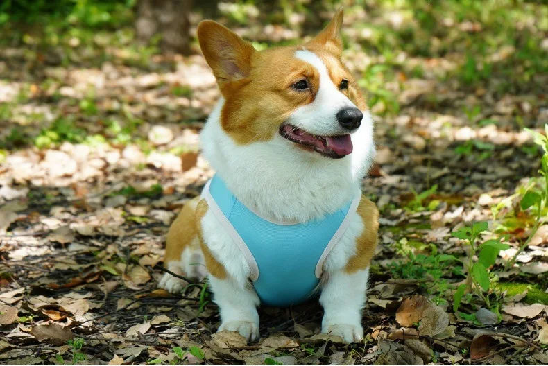 Dog Summer Cooling Vest Sun Protection Ice Silk Pet Clothes Breathable Quick Dry Puppy Cat Clothes For Small Medium Large Dogs