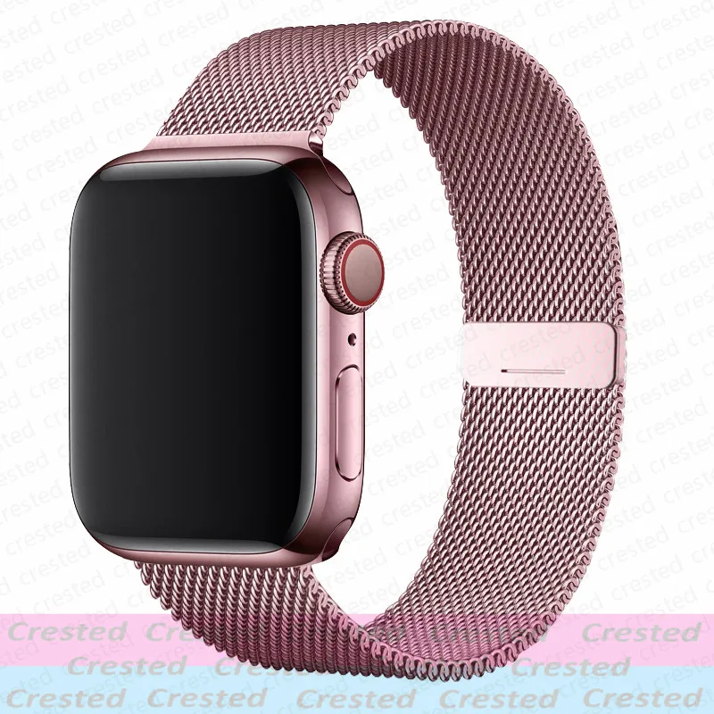 Magnetic Straps for Apple Watch Band 44mm 40mm 45mm 46mm 49mm 42mm 41mm Belt Bracelet iWatch Series 12 10 9 8 7 6 5 SE Ultra 4/3