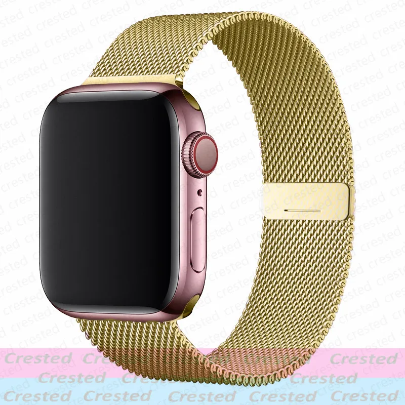 Magnetic Straps for Apple Watch Band 44mm 40mm 45mm 46mm 49mm 42mm 41mm Belt Bracelet iWatch Series 12 10 9 8 7 6 5 SE Ultra 4/3