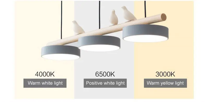 Nordic Restaurant Chandelier Modern Led Minimalist Dining Tables Creative Personality Macaron Iron Bird Decoration Droplight