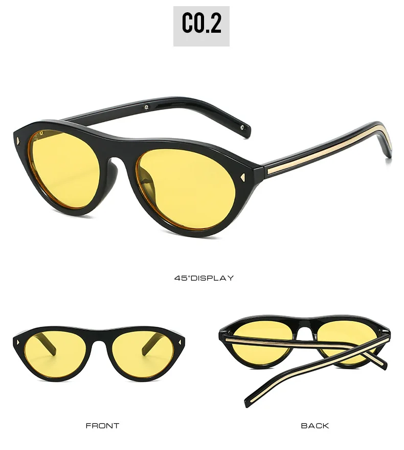 vintage Small Round Cat Eye Sunglasses for Women New Fashion Rivet sexy Black Leopard Sun Glasses Ladies Trendy Outdoor Shades