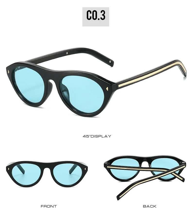vintage Small Round Cat Eye Sunglasses for Women New Fashion Rivet sexy Black Leopard Sun Glasses Ladies Trendy Outdoor Shades