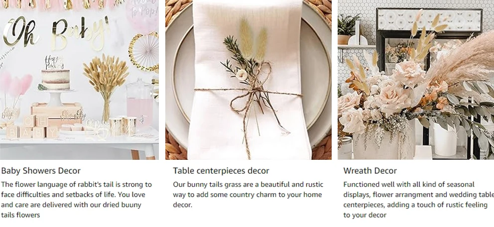 70pcs Natural Dried Flowers Green Fresh Eucalyptus Leave Bouquet Boho Chic Home Table Vase Decor Real Pampas Bunch Centerpieces