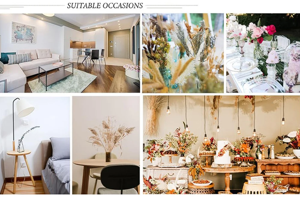 70pcs Natural Dried Flowers Green Fresh Eucalyptus Leave Bouquet Boho Chic Home Table Vase Decor Real Pampas Bunch Centerpieces