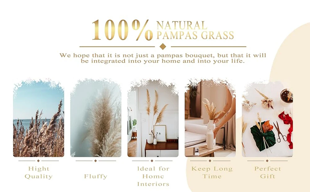 70pcs Natural Dried Flowers Green Fresh Eucalyptus Leave Bouquet Boho Chic Home Table Vase Decor Real Pampas Bunch Centerpieces