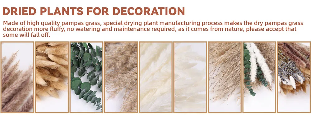70pcs Natural Dried Flowers Green Fresh Eucalyptus Leave Bouquet Boho Chic Home Table Vase Decor Real Pampas Bunch Centerpieces