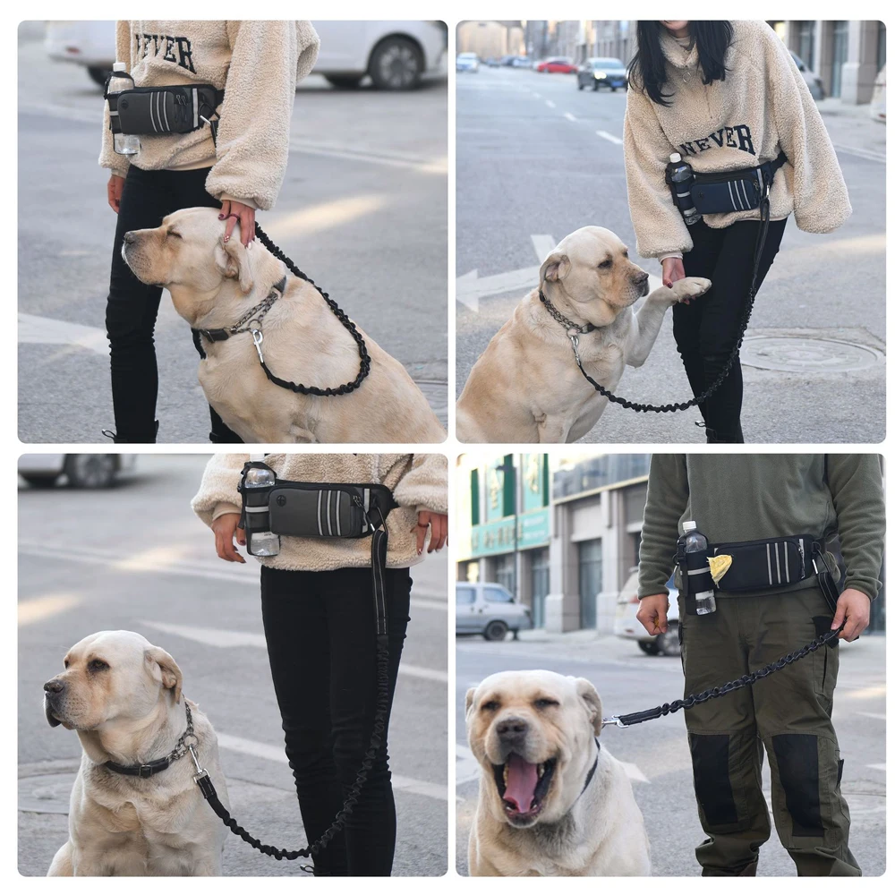 Bungee Waist Leash for Dog, Walking Running Belt for Medium & Large Dogs, Fanny Pack for Walker Training Hiking Jogging