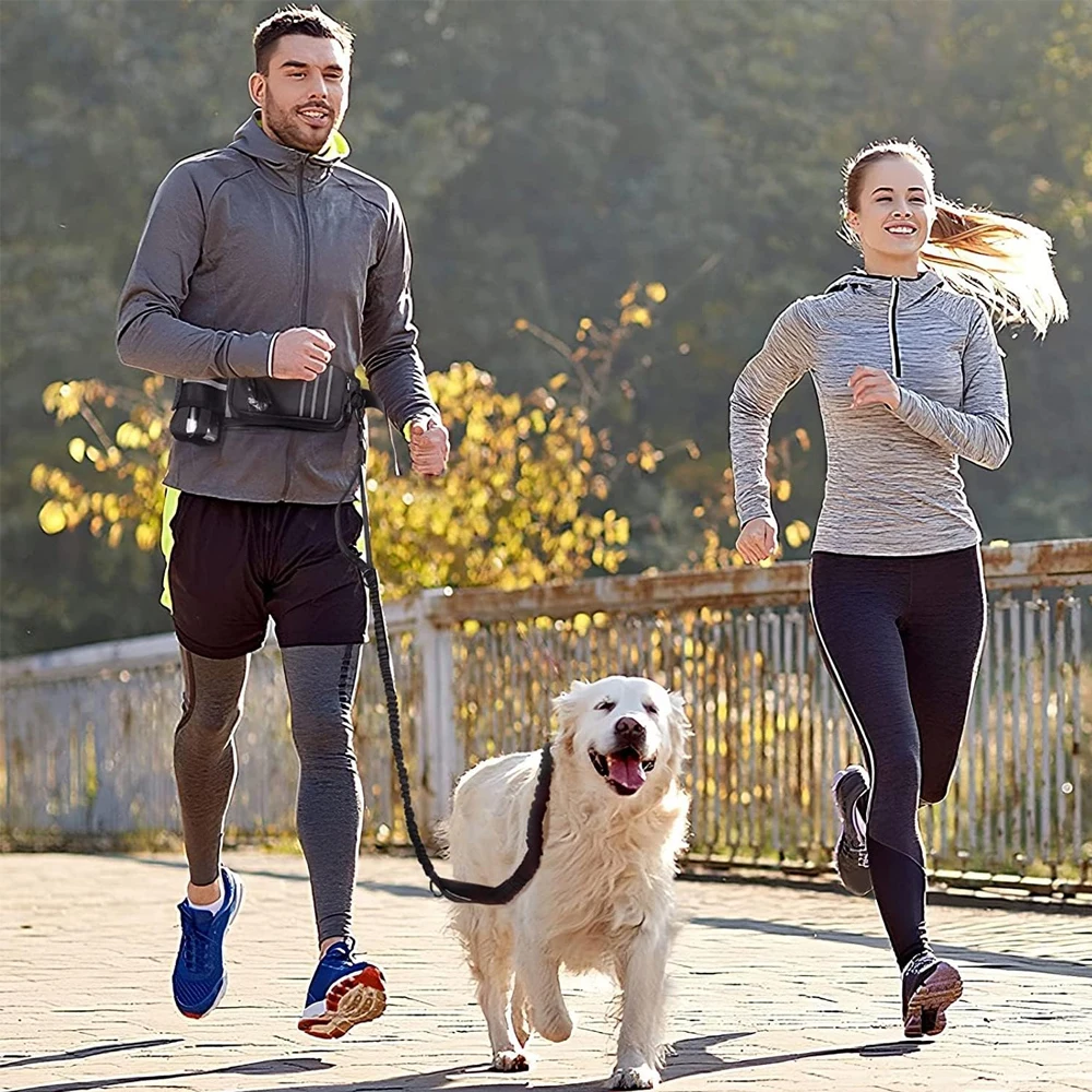 Bungee Waist Leash for Dog, Walking Running Belt for Medium & Large Dogs, Fanny Pack for Walker Training Hiking Jogging
