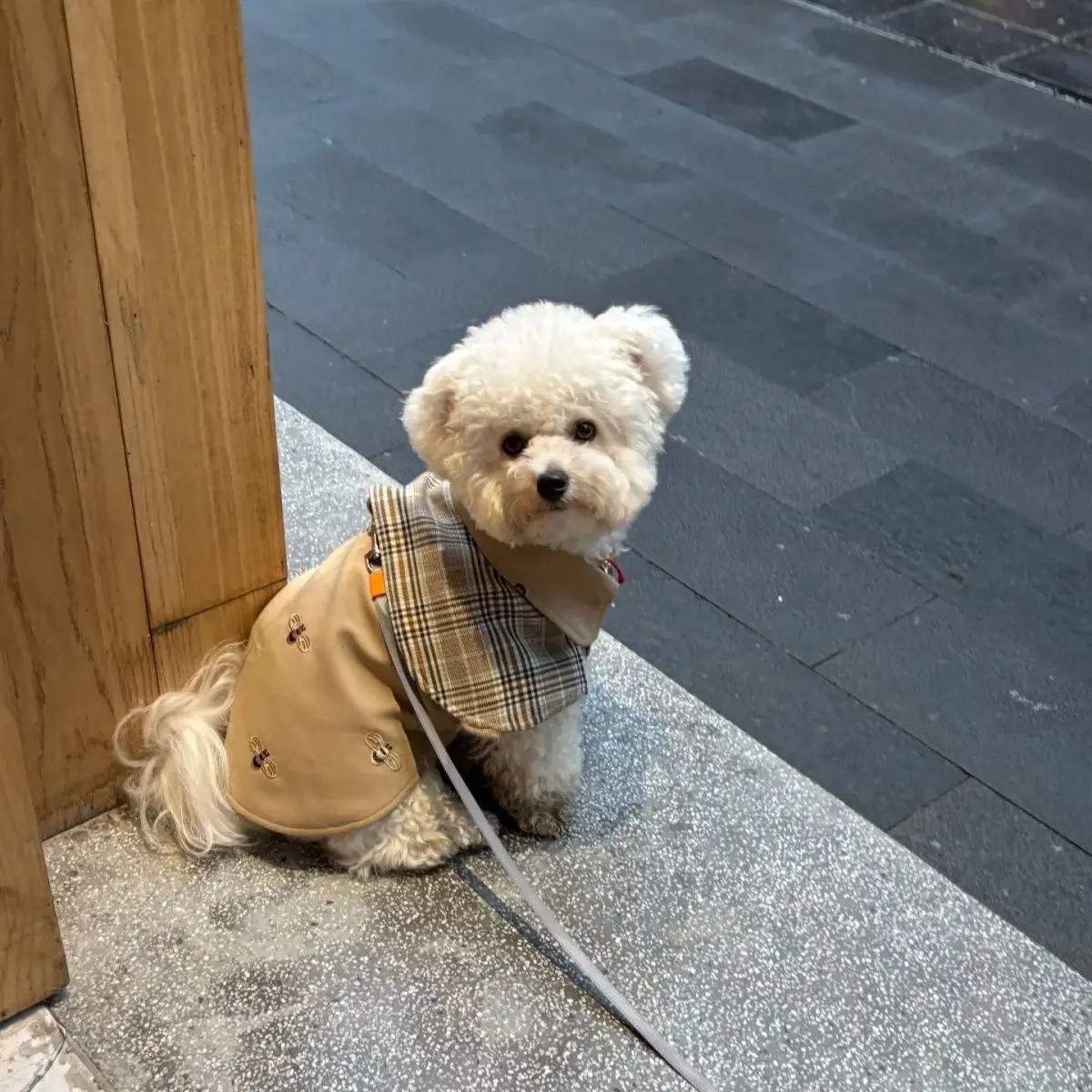 Pet Clothing Vintage Detective Cape English Tie Plaid Cape Small Dog Pet Outerwear Brown Dog Cape Puppy Clothes