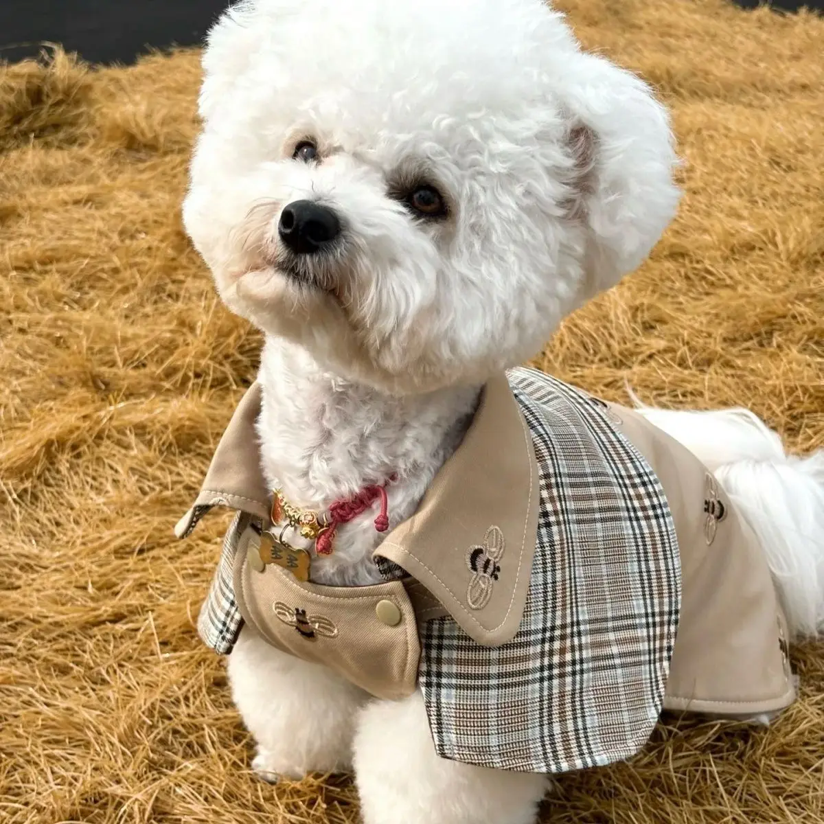 Pet Clothing Vintage Detective Cape English Tie Plaid Cape Small Dog Pet Outerwear Brown Dog Cape Puppy Clothes