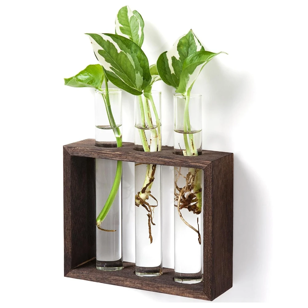 Wall Hanging Hydroponic Plant Propagation Glass Vase Transparent Tubes Vase  with Wooden Desktop Home Office Garde Decoration