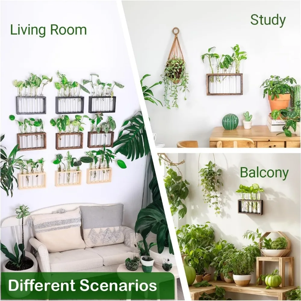 Wall Hanging Hydroponic Plant Propagation Glass Vase Transparent Tubes Vase  with Wooden Desktop Home Office Garde Decoration