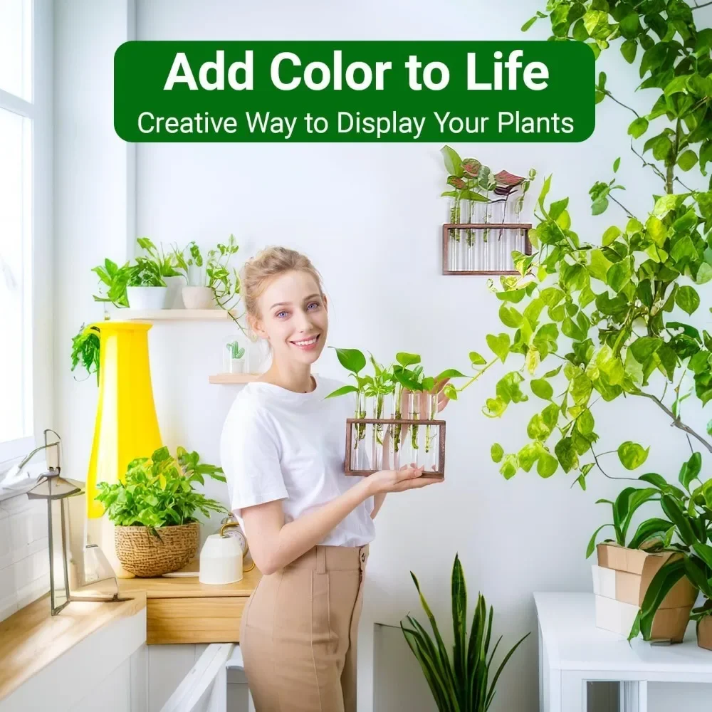 Wall Hanging Hydroponic Plant Propagation Glass Vase Transparent Tubes Vase  with Wooden Desktop Home Office Garde Decoration