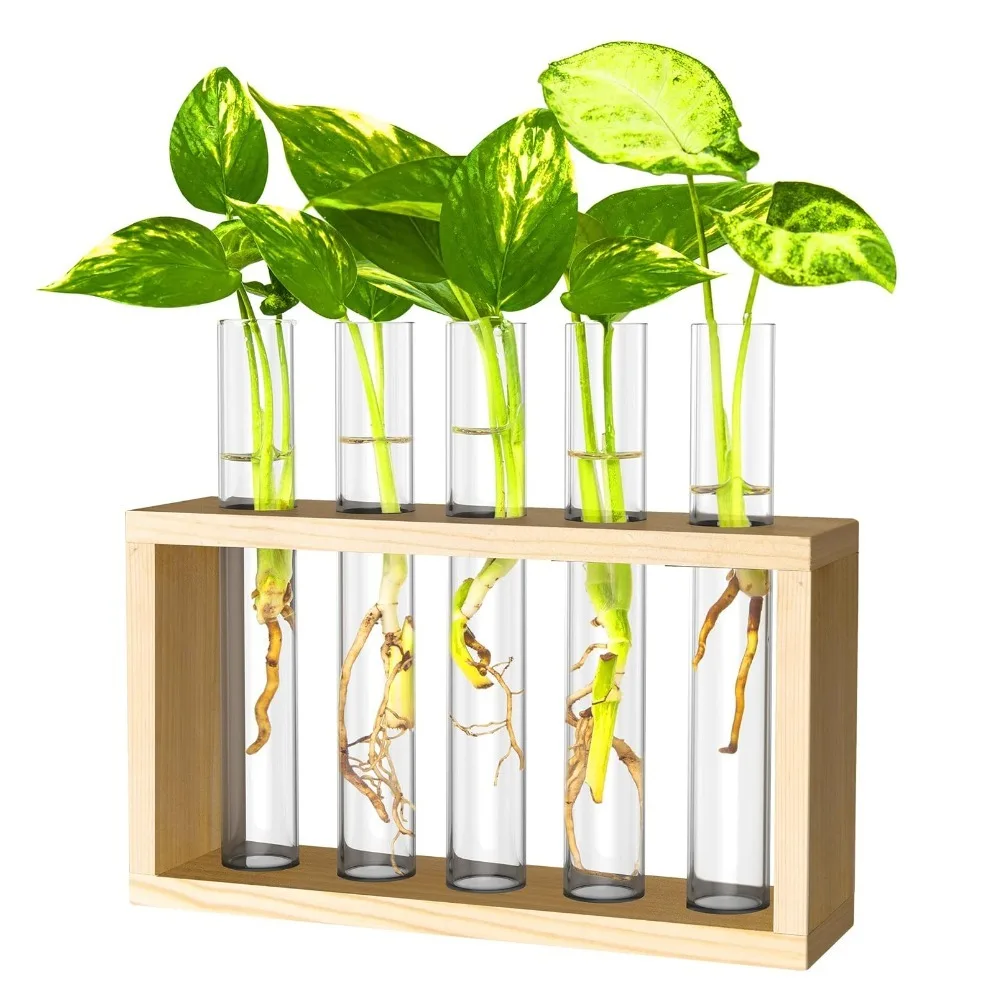 Wall Hanging Hydroponic Plant Propagation Glass Vase Transparent Tubes Vase  with Wooden Desktop Home Office Garde Decoration
