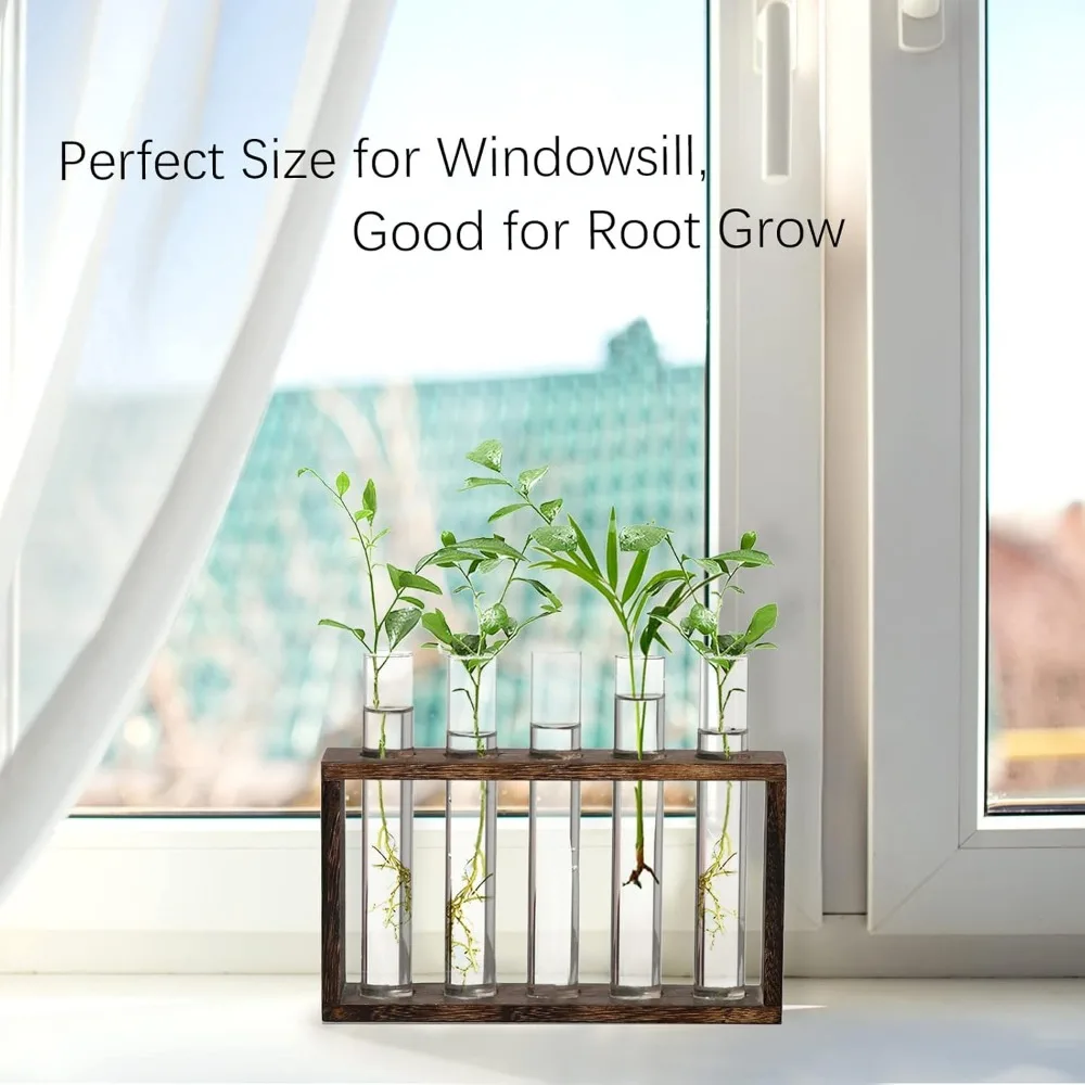 Wall Hanging Hydroponic Plant Propagation Glass Vase Transparent Tubes Vase  with Wooden Desktop Home Office Garde Decoration