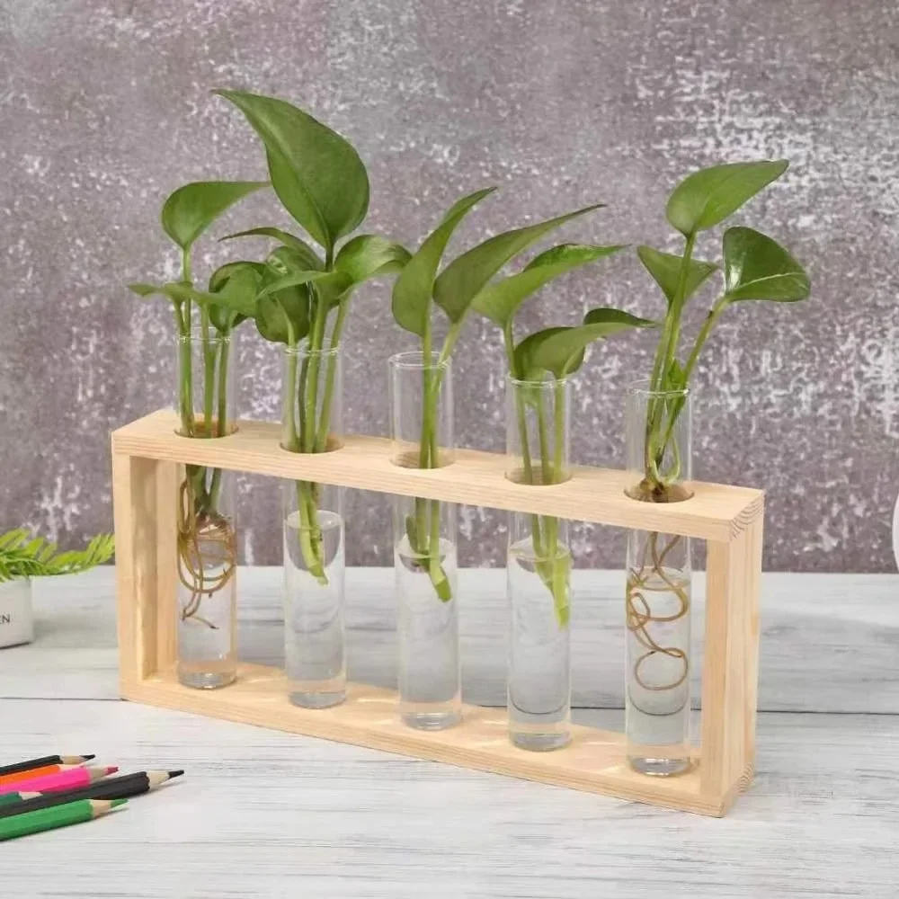 Wall Hanging Hydroponic Plant Propagation Glass Vase Transparent Tubes Vase  with Wooden Desktop Home Office Garde Decoration
