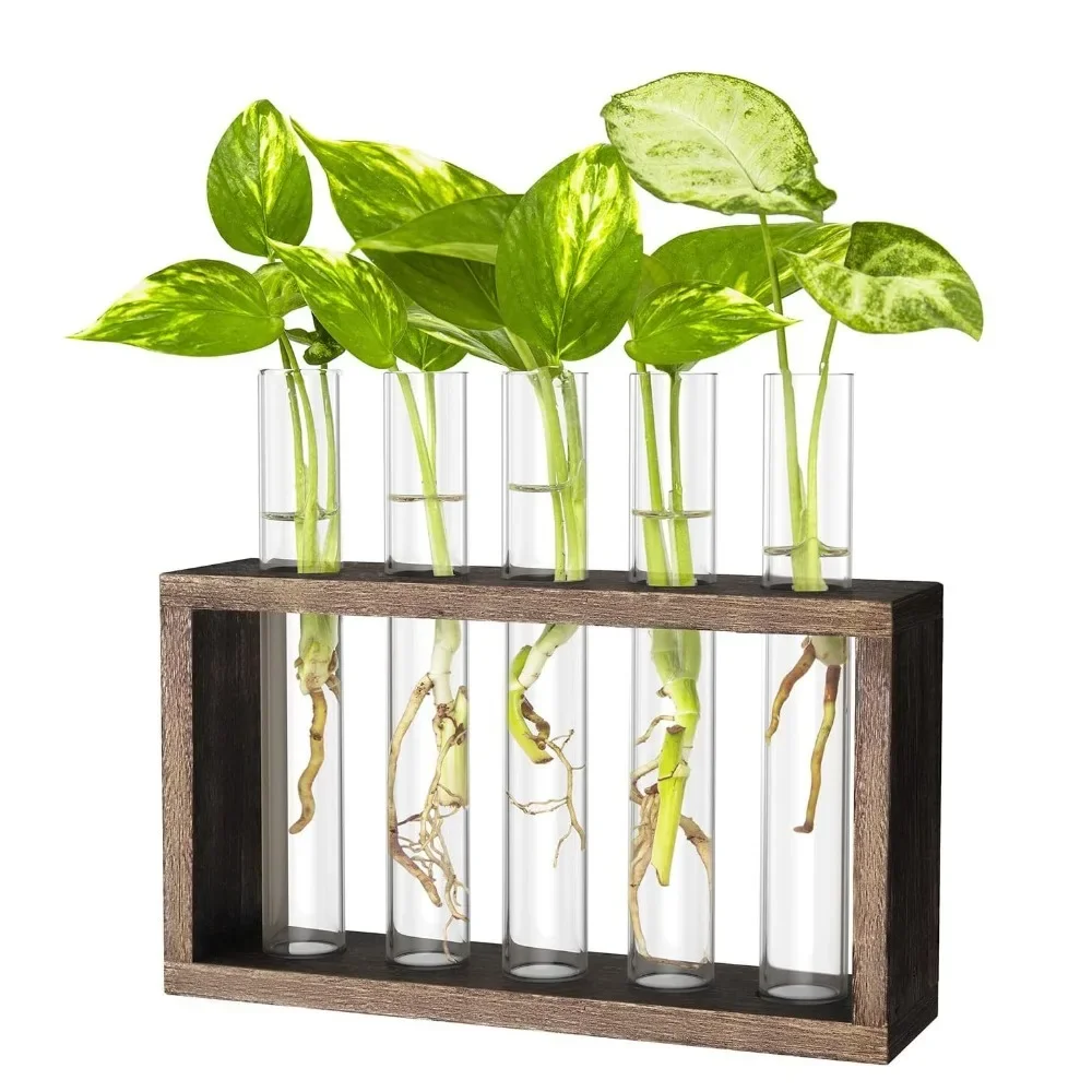 Wall Hanging Hydroponic Plant Propagation Glass Vase Transparent Tubes Vase  with Wooden Desktop Home Office Garde Decoration
