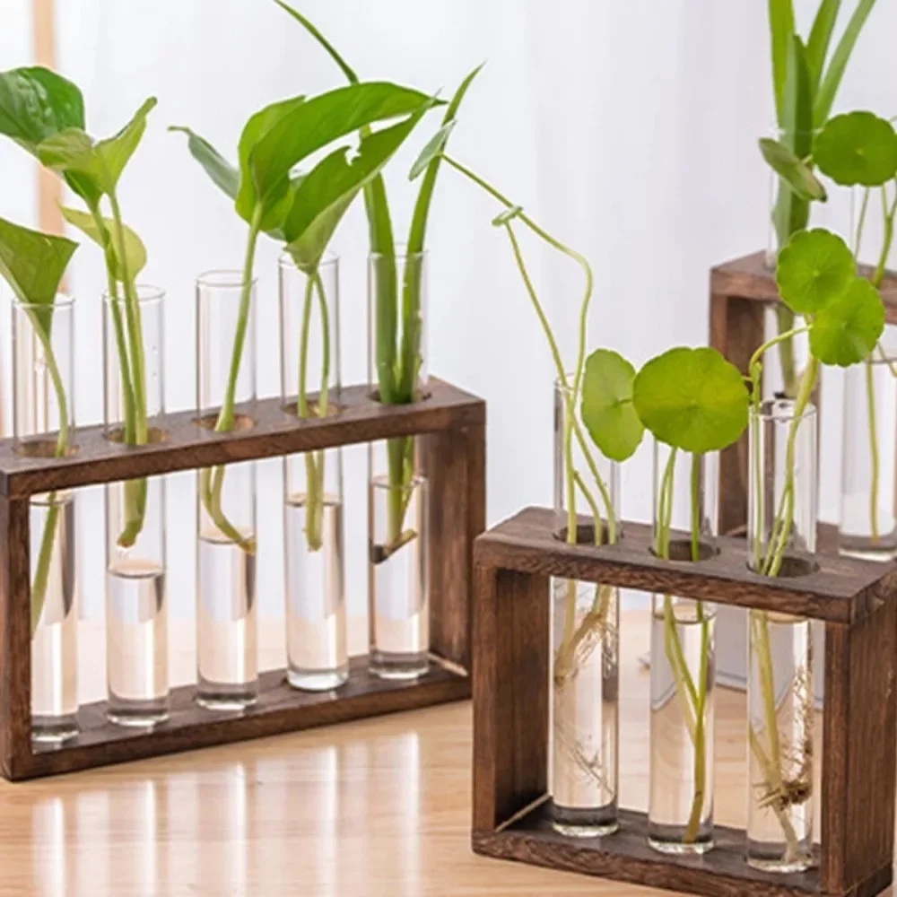 Wall Hanging Hydroponic Plant Propagation Glass Vase Transparent Tubes Vase  with Wooden Desktop Home Office Garde Decoration