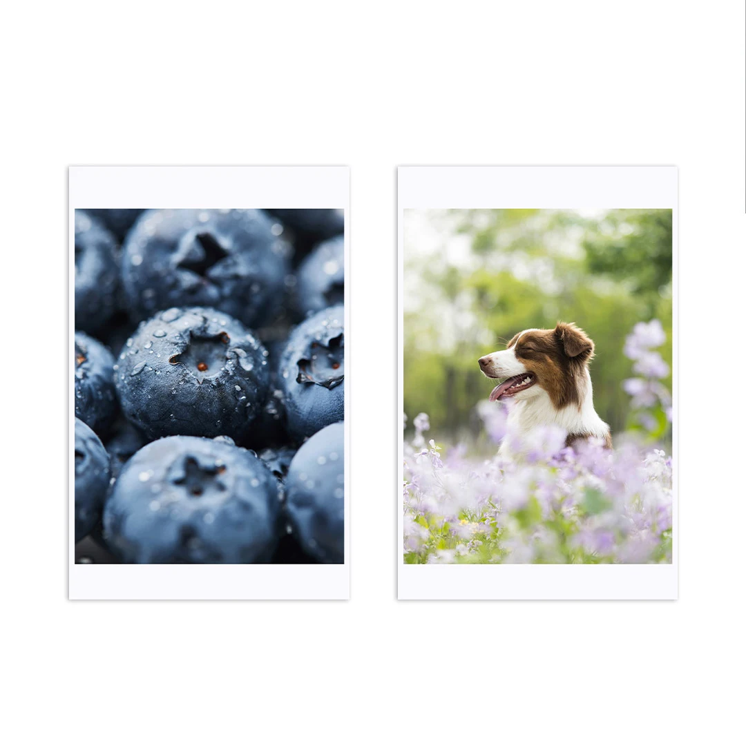 Xiaomi Portable Dye-Sublimation Photo Paper/Stickers 50 Sheets Original zink Mijia Pocket Printer Self-adhesive Photo Paper