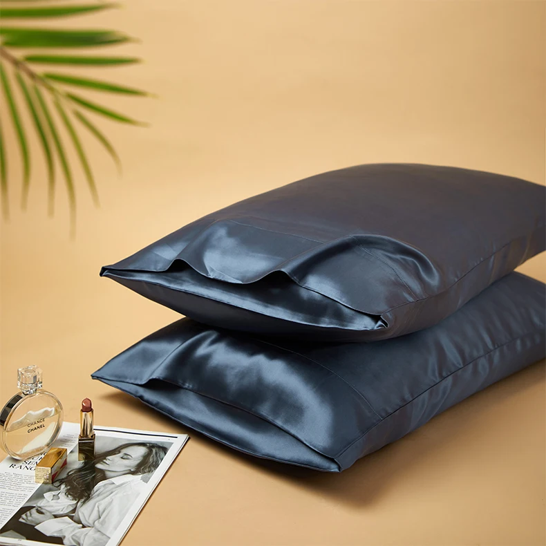 DISANGNI 22 Momme 100% Natural Mulberry Silk Pillowcases for Hair and Skin, Double-Sided Pure Silk with Envelope Closure, 2 Pack