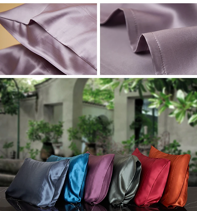 DISANGNI 22 Momme 100% Natural Mulberry Silk Pillowcases for Hair and Skin, Double-Sided Pure Silk with Envelope Closure, 2 Pack