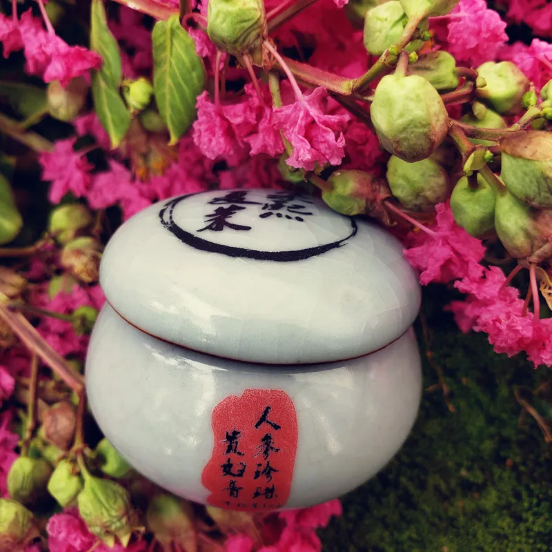 Recipe upgrade Ginseng Pearl Facial Cream Concealer Skin Care Skin Brighten Lady Cream