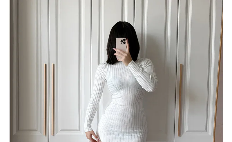 Women Transparent Sexy See Through Mini Dress Korean Outdoor Expose White Sheer Slim Fit Above Knee Longsleeve Crop Skirts