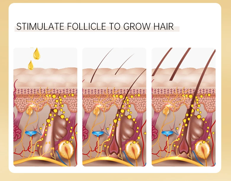 PURC 300ML Biotin Hair Shampoo Scalp Cleaning Nourishing Strengthen Roots Shampoos Hair Care Products for All Hair Types