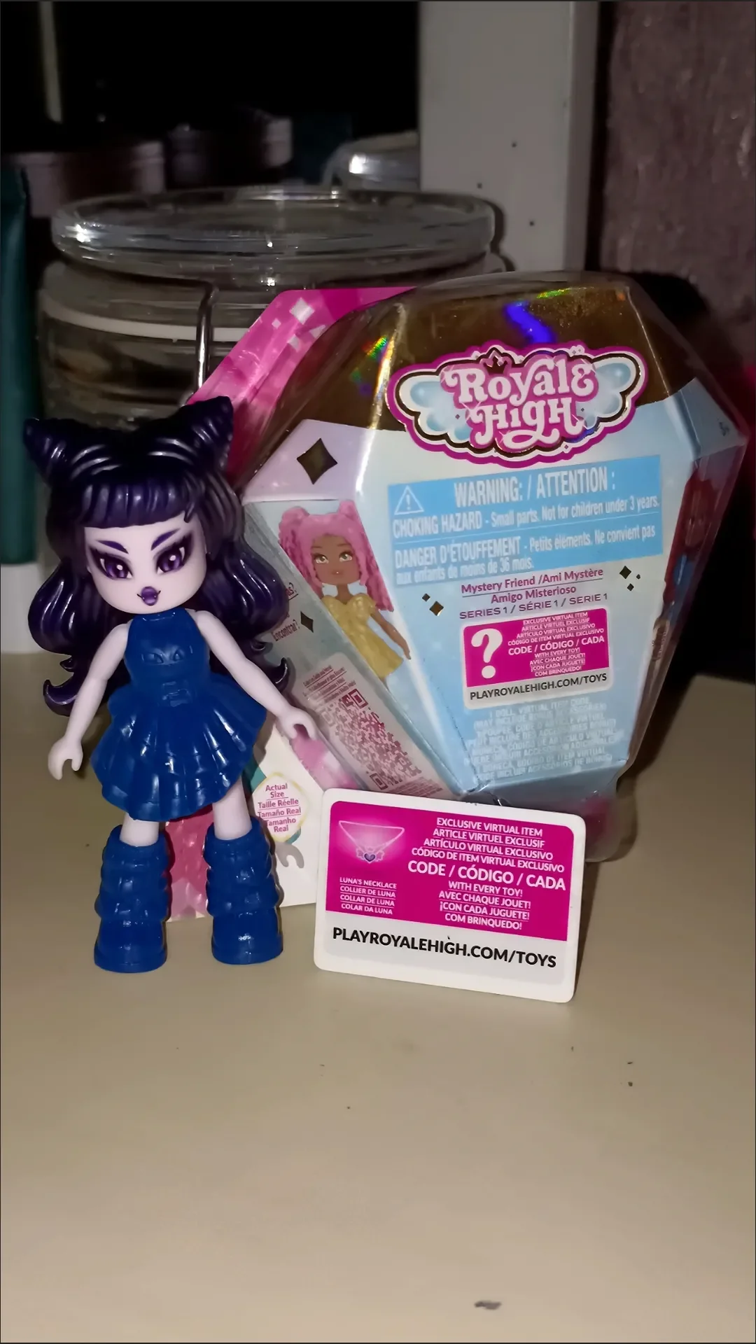 Royale High Mystery Friends Series 1 Blind Box with Game Code & Confirmation Piece Cute Action Figure Surprise Bag Gift for Girl