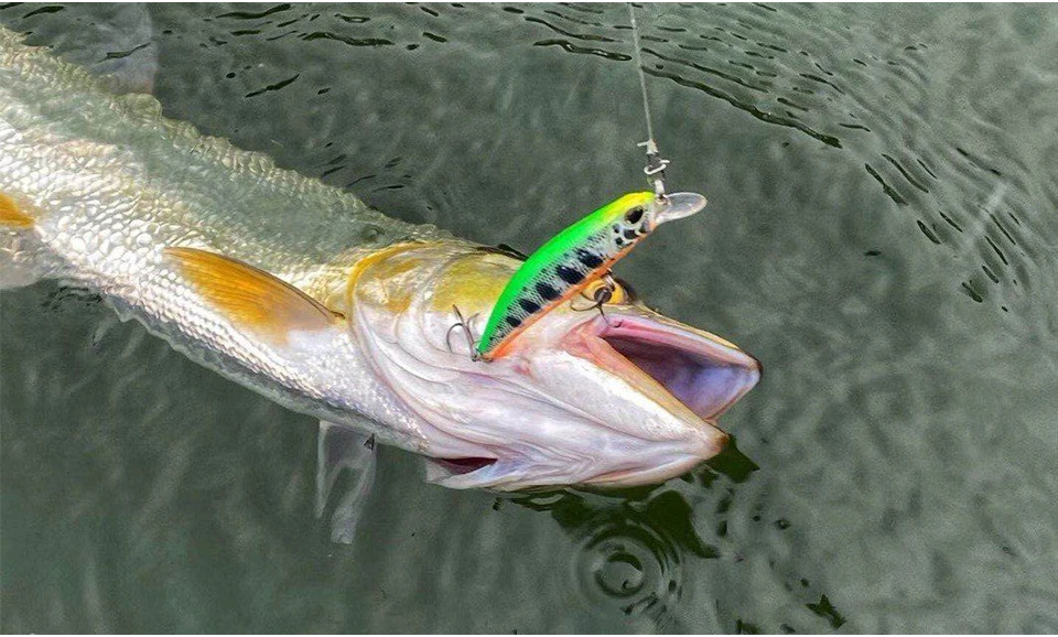 TSURINOYA Sinking Minnow 60S 60mm 6.1g DW67 New Fishing Lures Professional Hard Lure Pencil Wobbler Crankbait Bass Pike Baits