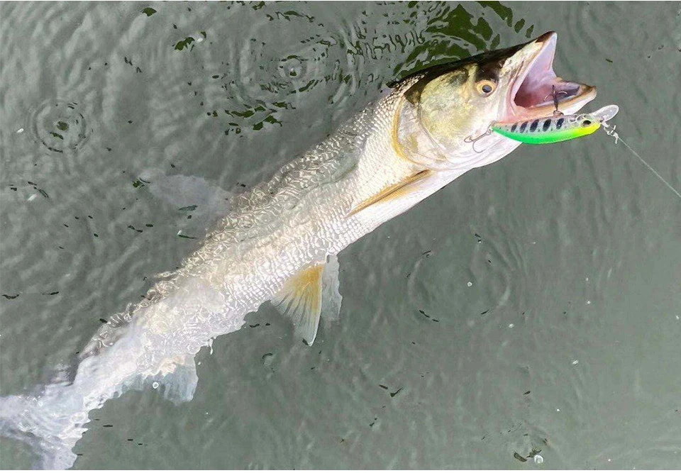 TSURINOYA Sinking Minnow 60S 60mm 6.1g DW67 New Fishing Lures Professional Hard Lure Pencil Wobbler Crankbait Bass Pike Baits