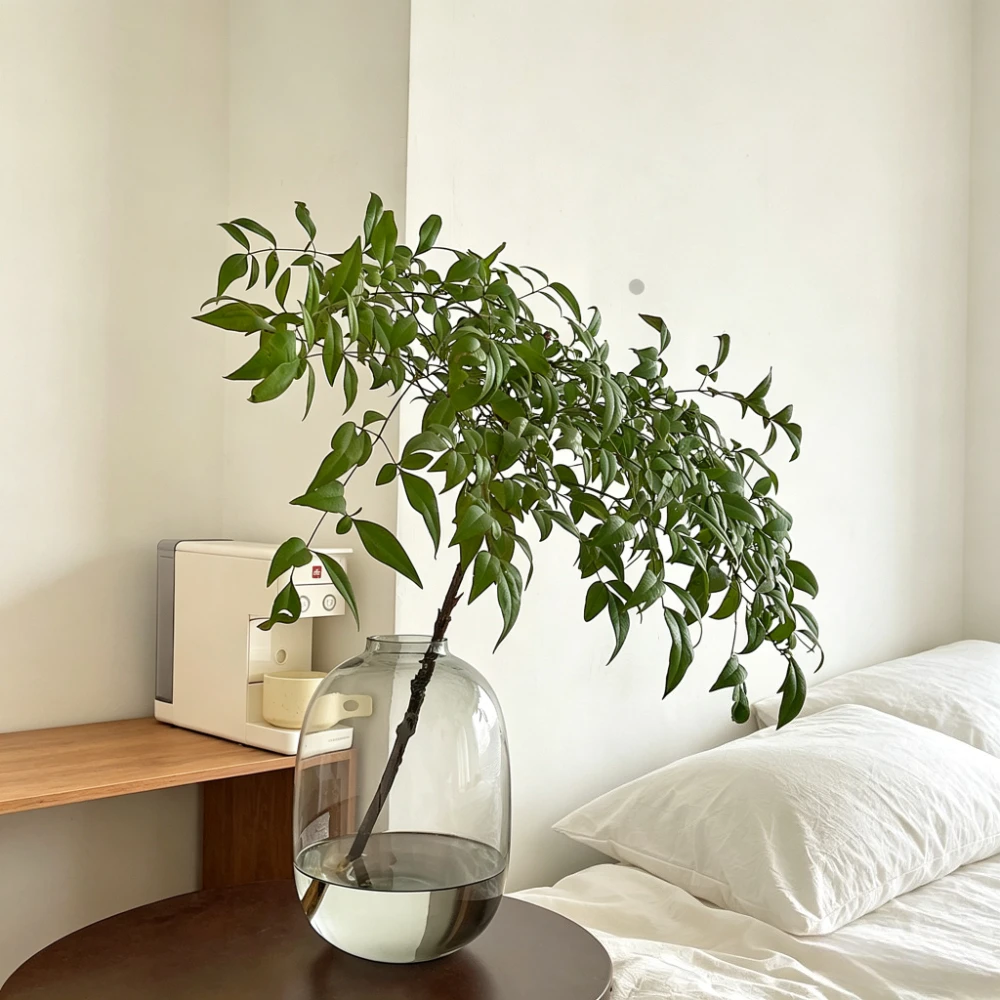 Modern Nordic Oval Glass Vase Hydroponic Fresh Flower Vase Living Room Flower Arrangement Decoration Elegant Home Decor
