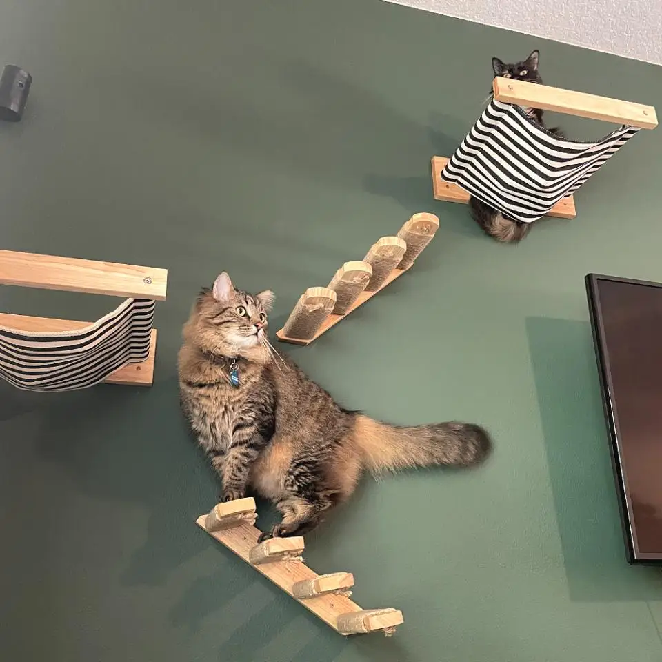 Wooden Cat Tree Tower Cat Wall Furniture Climbing Shelves Perches Sisal Scratcher Hammock Steps and Ladder Indoor Cats Walk Gym