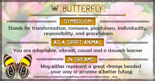 Rock Crystal Necklace Butterfly Necklaces Natural Stone Amethysts Clear Quartz Tiger Eye Pendants Stainless Steel Chain H158