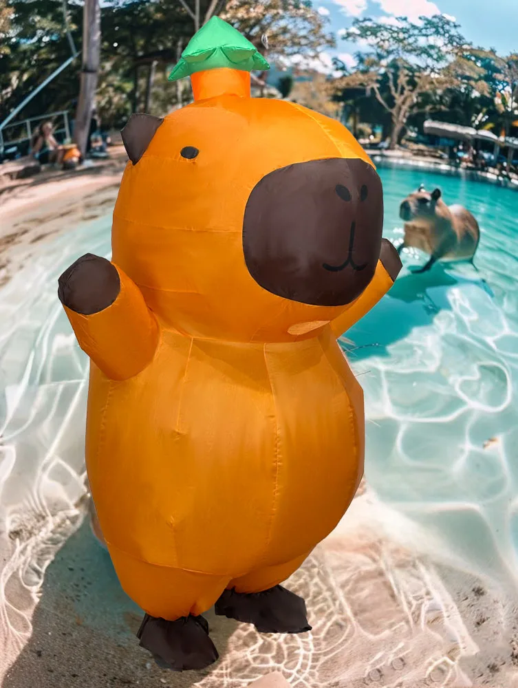 New Arrival Cartoon Animal Inflatable Costumes 2026 Capybara Inflatable Outfits Cute Animal Blow Up Clothing Party Beach Props
