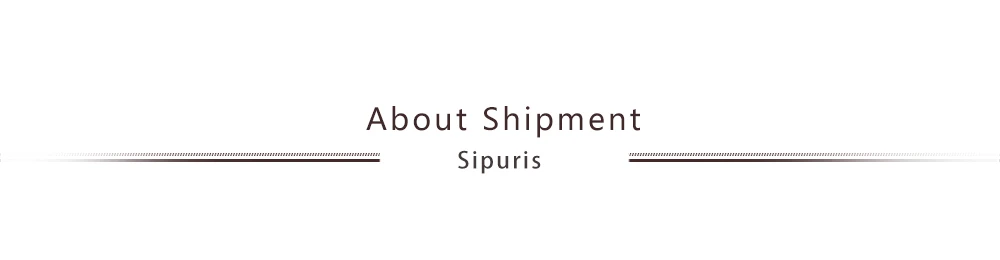 Sipuris Custom Name Cufflinks Stainless Steel Women Men Groom Shirt Initials Cufflink Luxury Personalized Jewelry Weddings Gifts