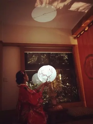 1pc 40cm 16" Plum Blossom Blue Porcelain Bamboo Printed Chinese Round Paper Lantern Wedding Xmas Party Decor Hanging Paper Ball