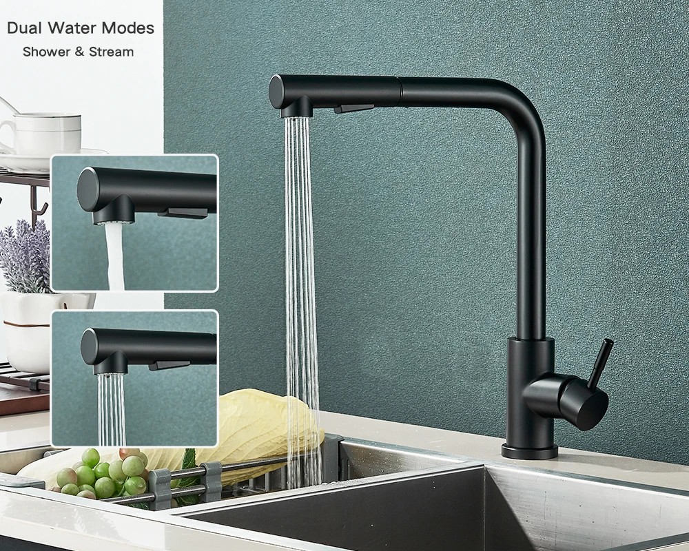Kitchen Pull-Out Faucet 304 Stainless Steel Hot and Cold Faucet Black Sink Faucet with Two Levels of Water Outlet