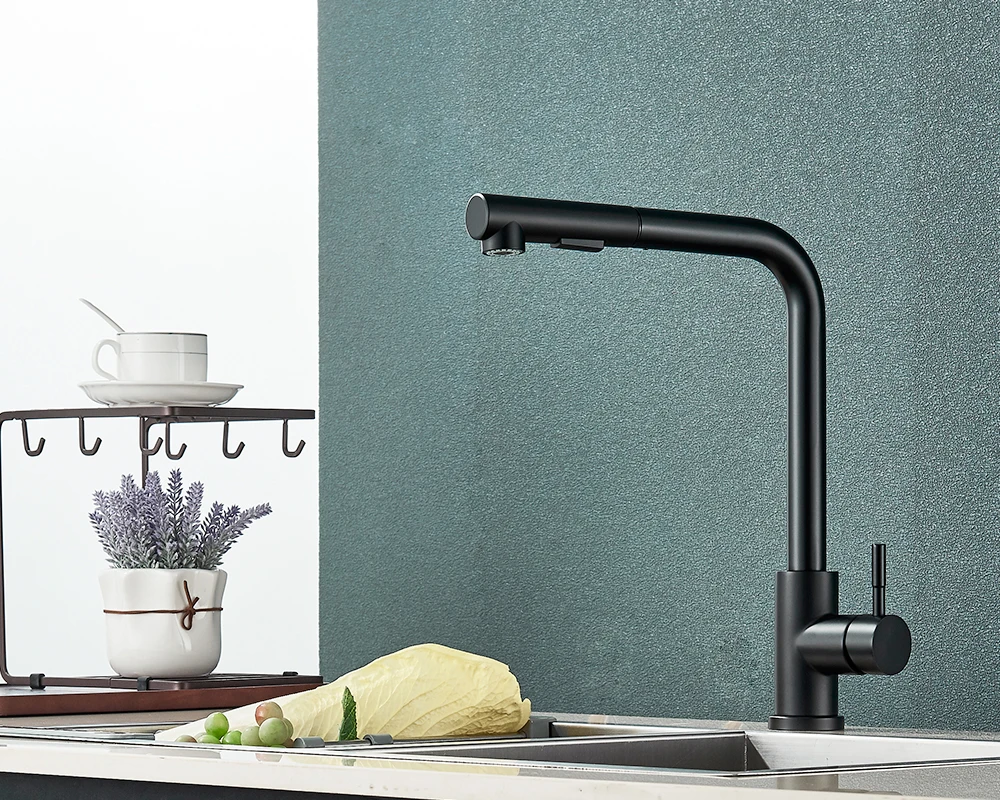 Kitchen Pull-Out Faucet 304 Stainless Steel Hot and Cold Faucet Black Sink Faucet with Two Levels of Water Outlet