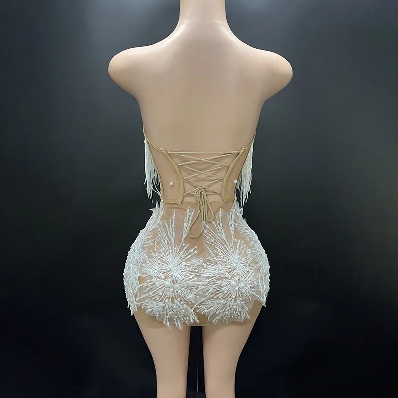 White Snowflake Pearl See Through Mesh Women Stunning Dress Party Birthday Sexy Carnival Performance Stage Costume