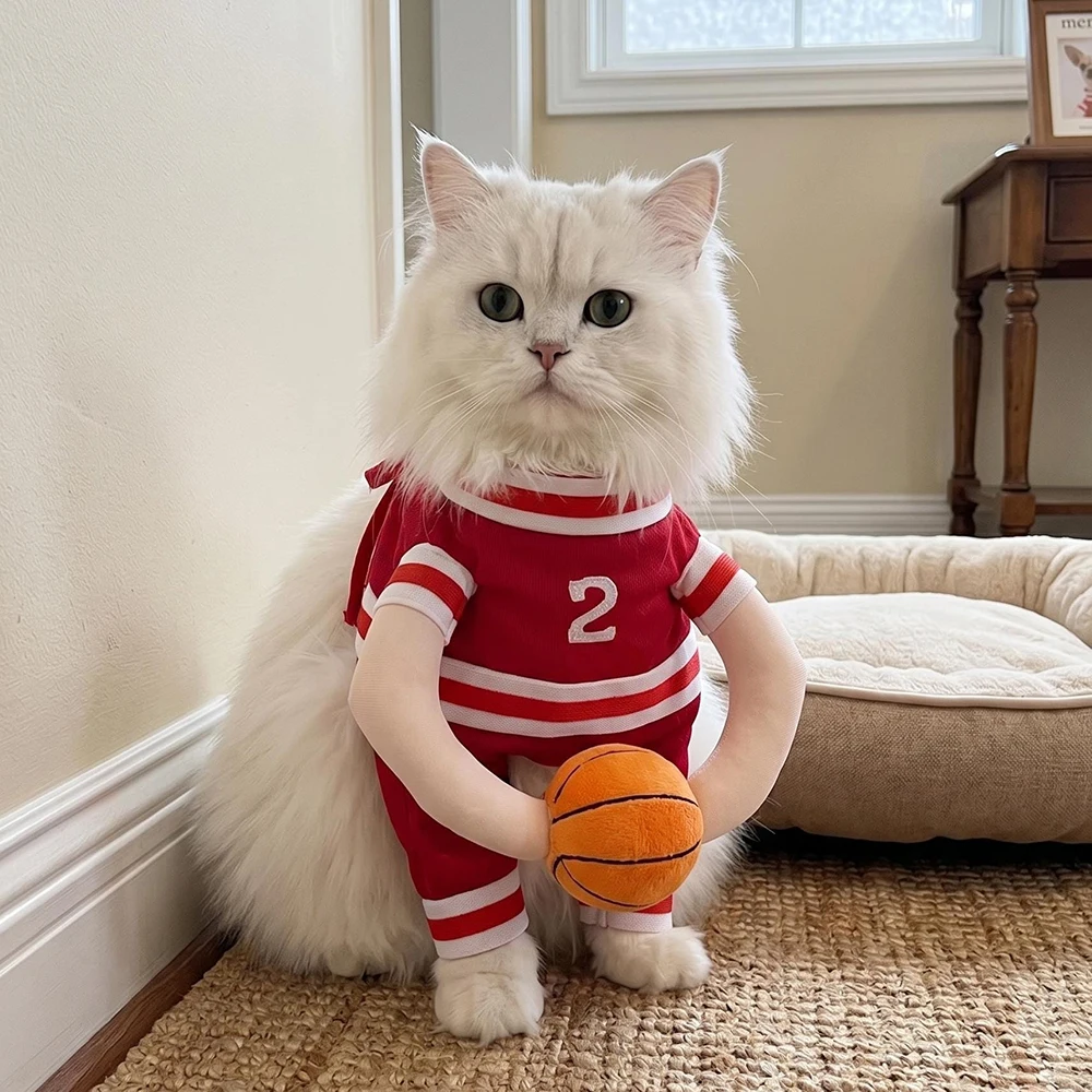 Halloween Pet Basketball Costume with 3D Ball Funny Sport Cosplay Outfit for Small Medium Dogs Pug Apparel Photo Shoots Playtime