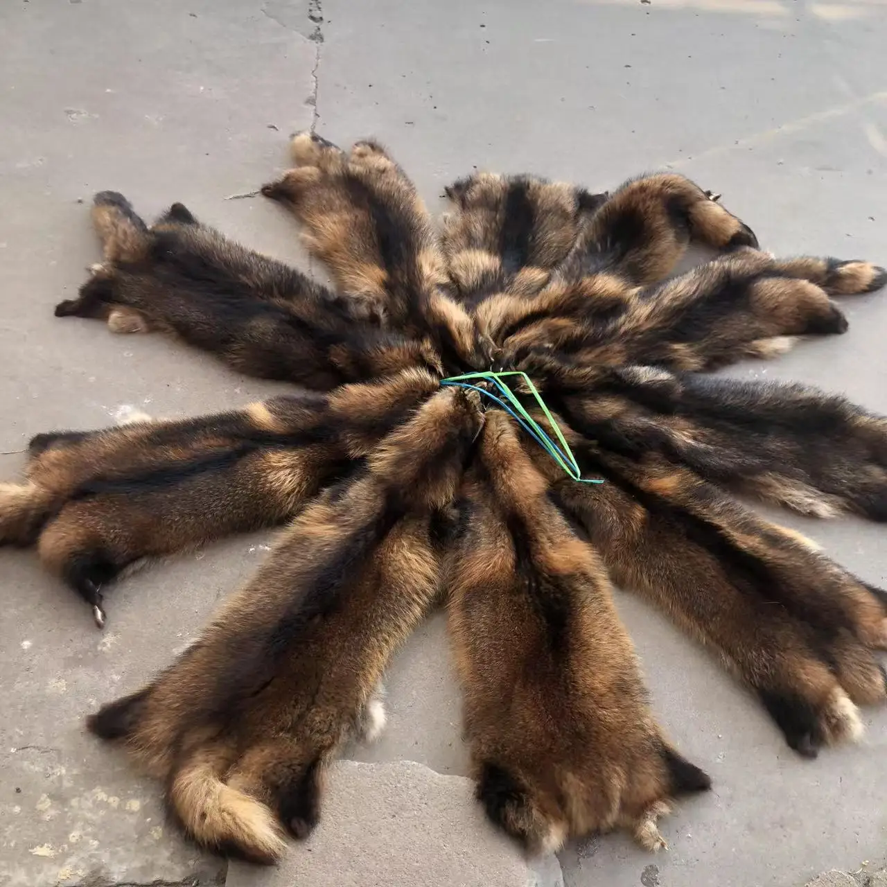 Factory Price High Quality Natural Raccoon Fur Skin Wholesale
