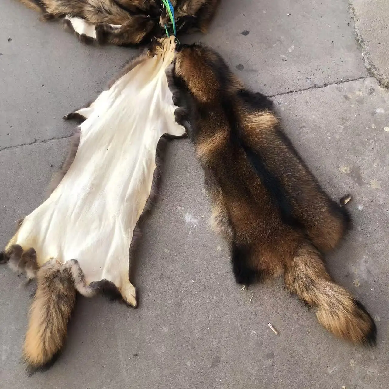 Factory Price High Quality Natural Raccoon Fur Skin Wholesale