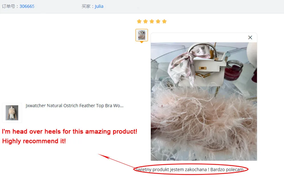 Jxwatcher Natural Ostrich Feather Top Bra Women's Summer Feather Tube Lady Wedding Long Hair Fluffy Underwear Evening Party Wear